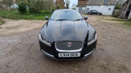 
										Jaguar XF D Luxury Auto  special order Black-on-Black 2014 SKU836 full									