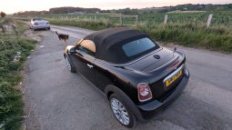 
										Mini Roadster Cooper Cabriolet  2013 Top Spec SKU886 full									
