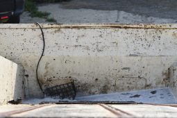 
										Big Barn Clear Out: Wheel, engines, tubs, chassis, bumpers, seats, bullbars, seat covers, full									