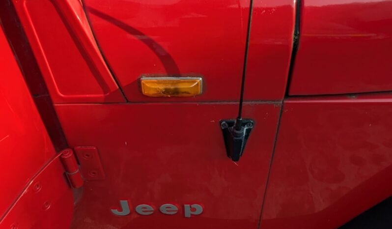 
								JEEP WRANGLER 4.0L Auto YJ Hard & Soft Top 1996 RHD SKU973 full									